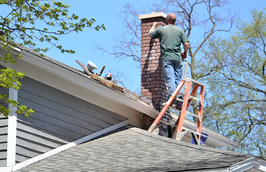 Chimney & Fireplace Inspections Services in Grandville, MI